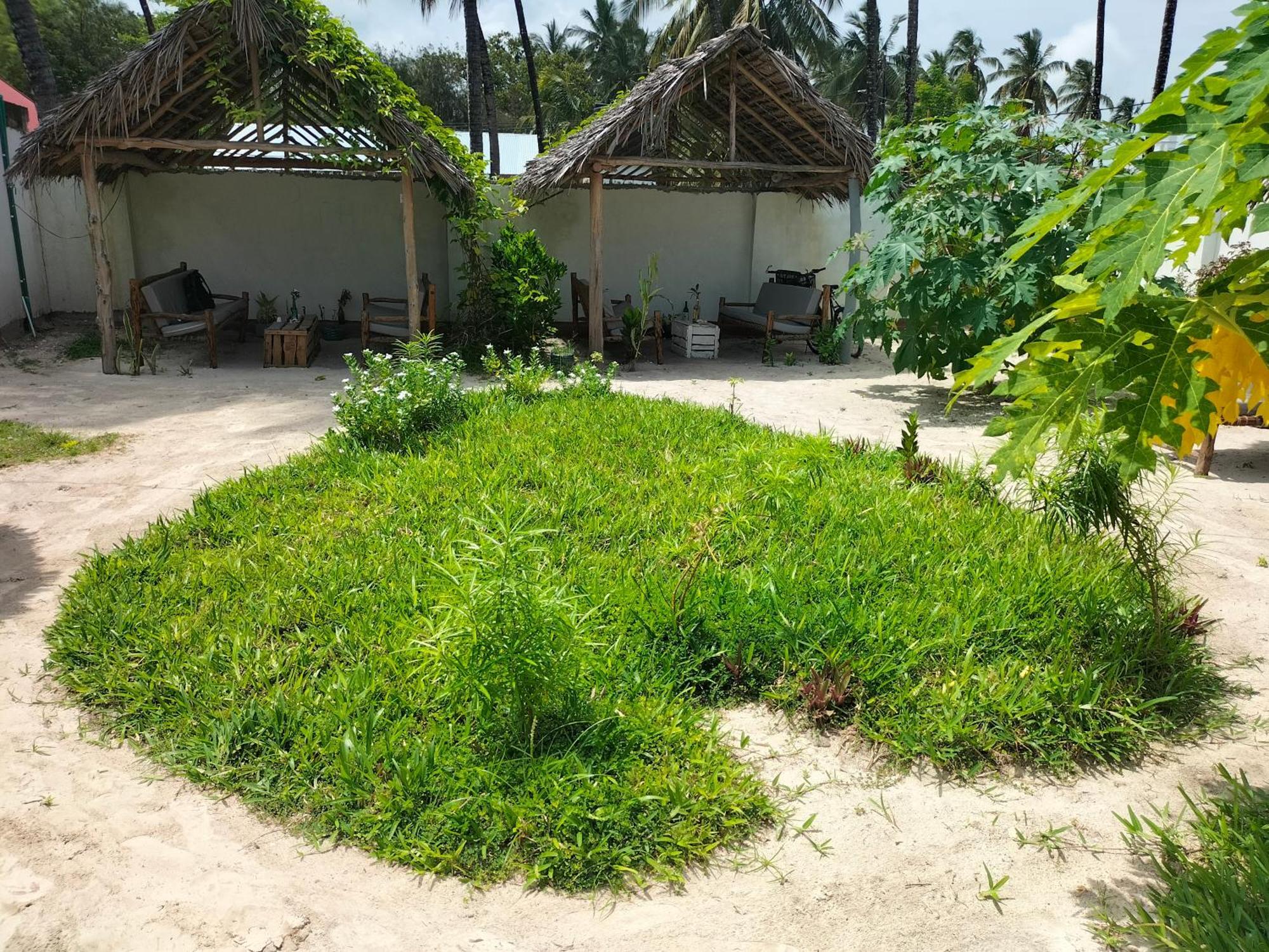 Mambo Leo Hostel Paje Buitenkant foto