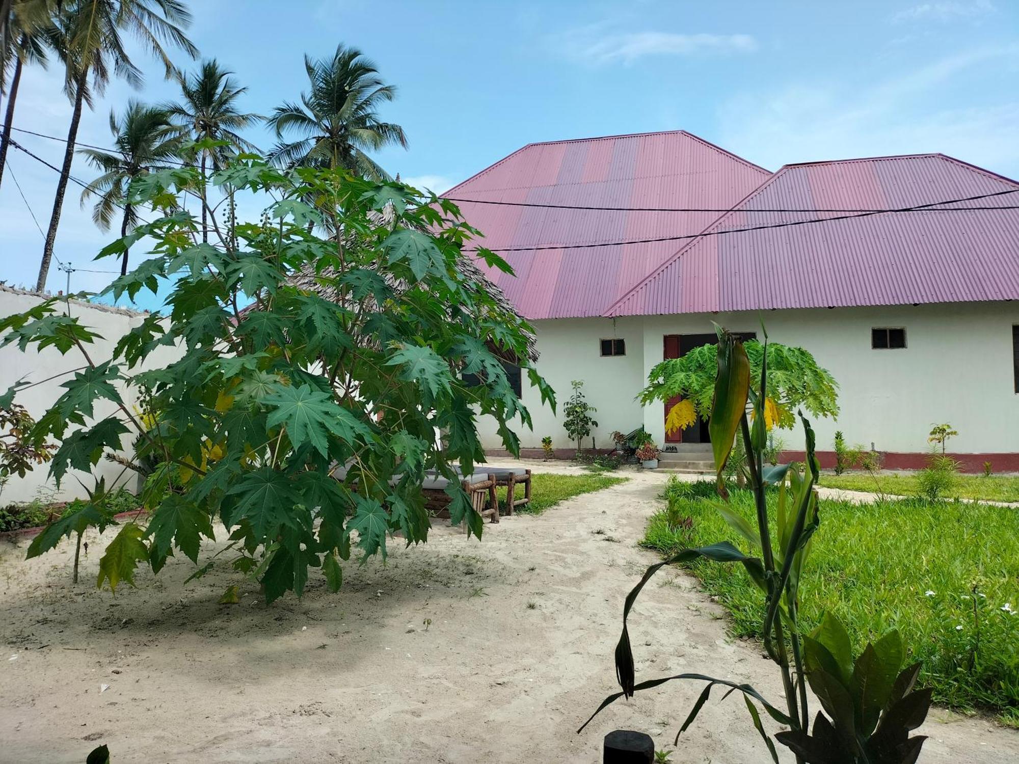 Mambo Leo Hostel Paje Buitenkant foto