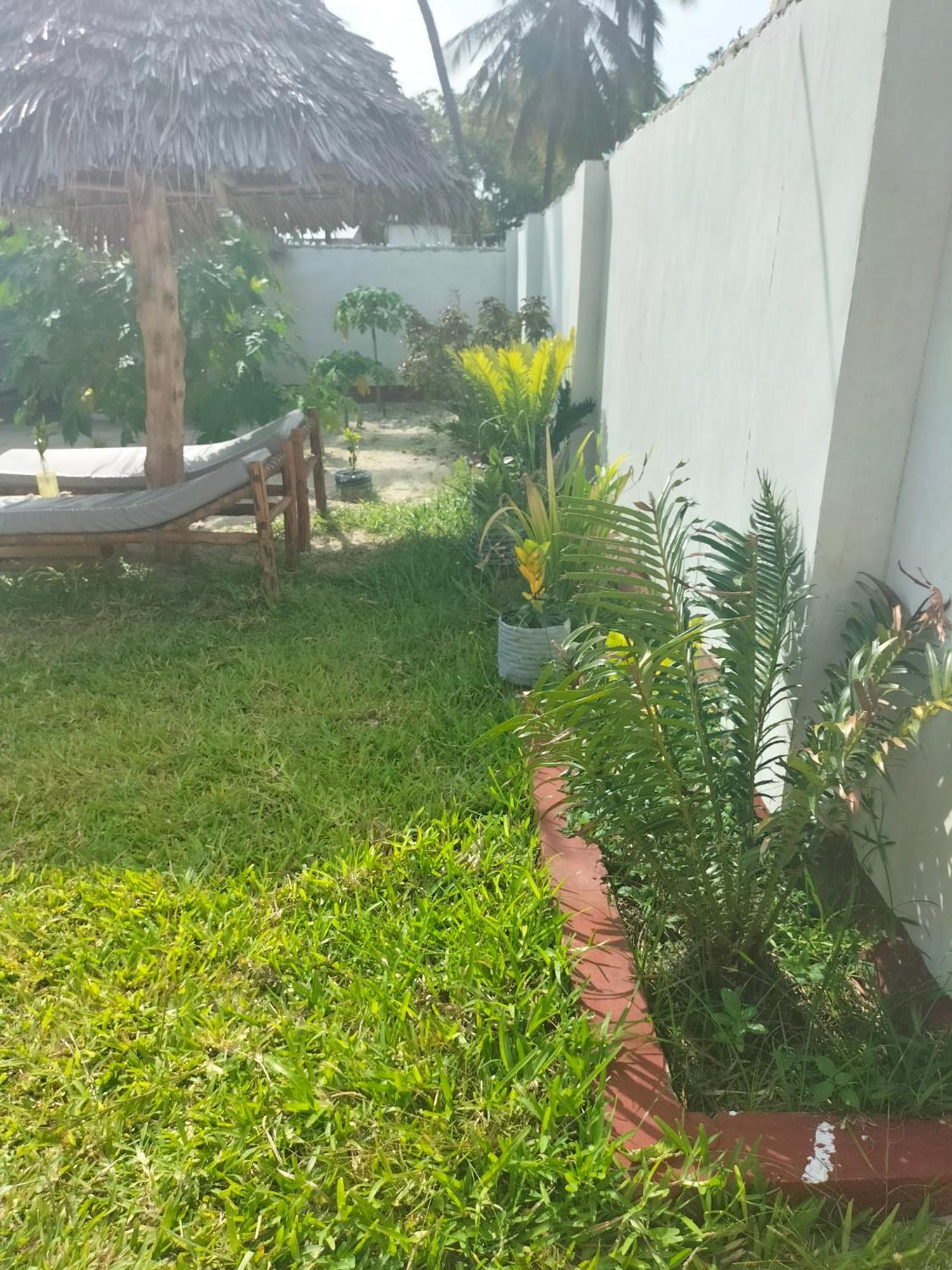 Mambo Leo Hostel Paje Buitenkant foto