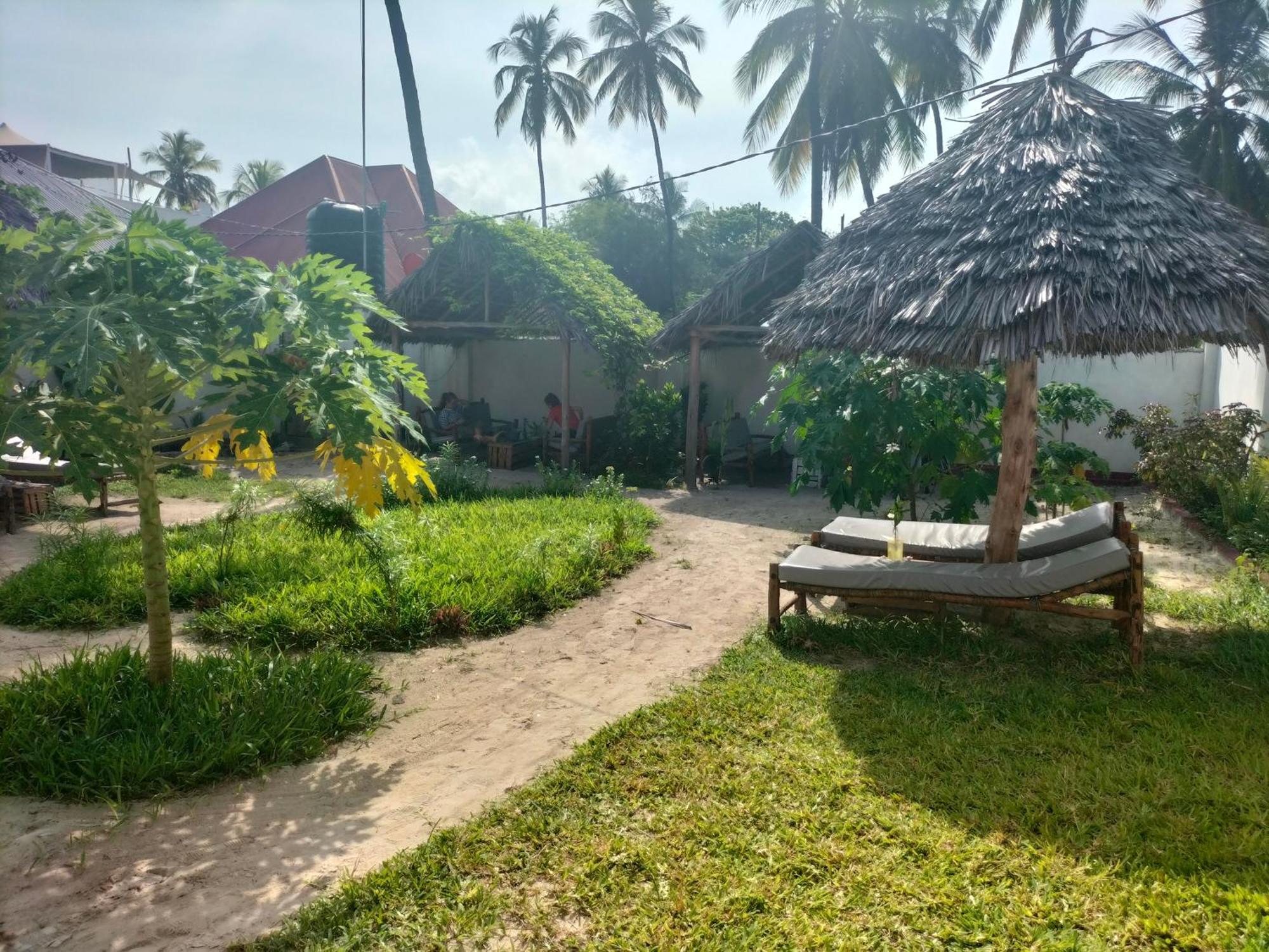 Mambo Leo Hostel Paje Buitenkant foto