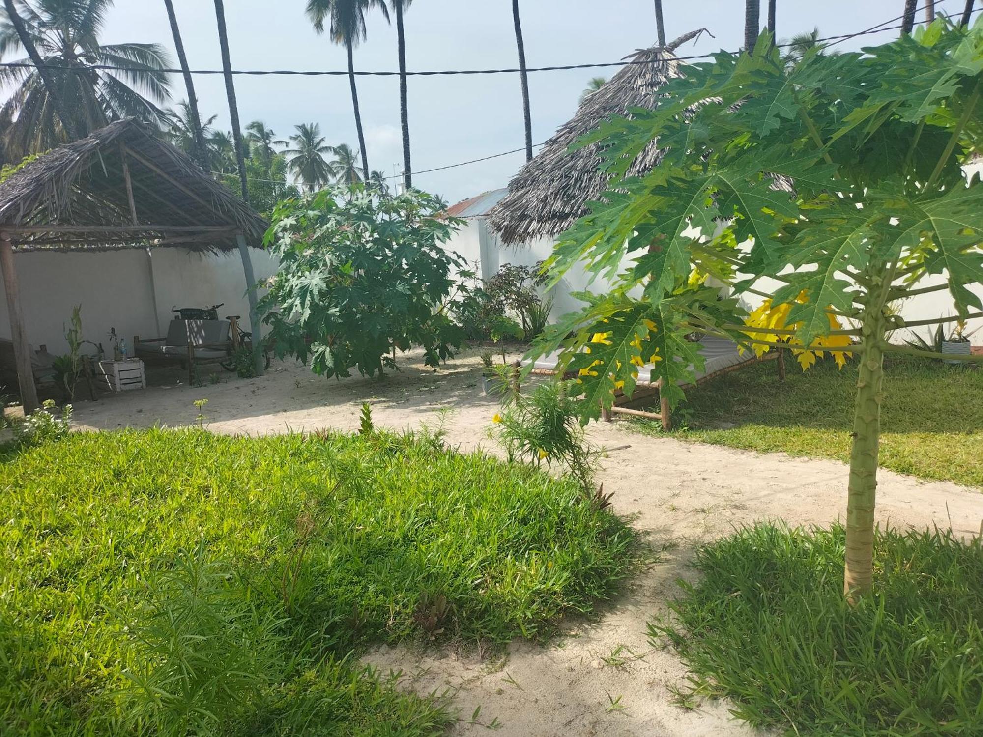 Mambo Leo Hostel Paje Buitenkant foto