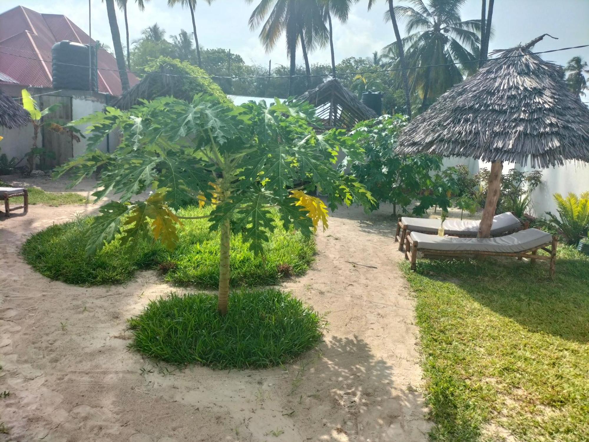 Mambo Leo Hostel Paje Buitenkant foto