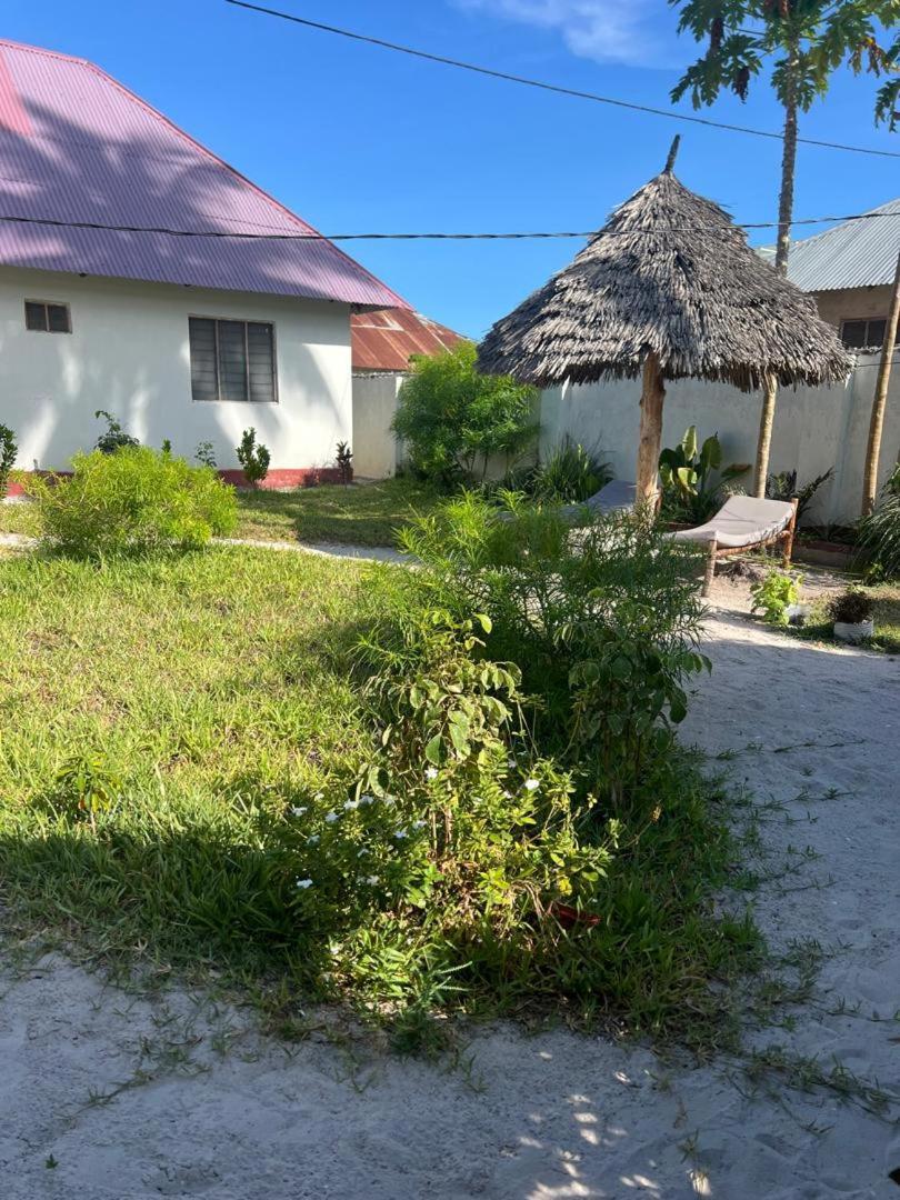 Mambo Leo Hostel Paje Buitenkant foto